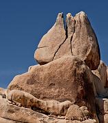 Tulip Rock 1144a